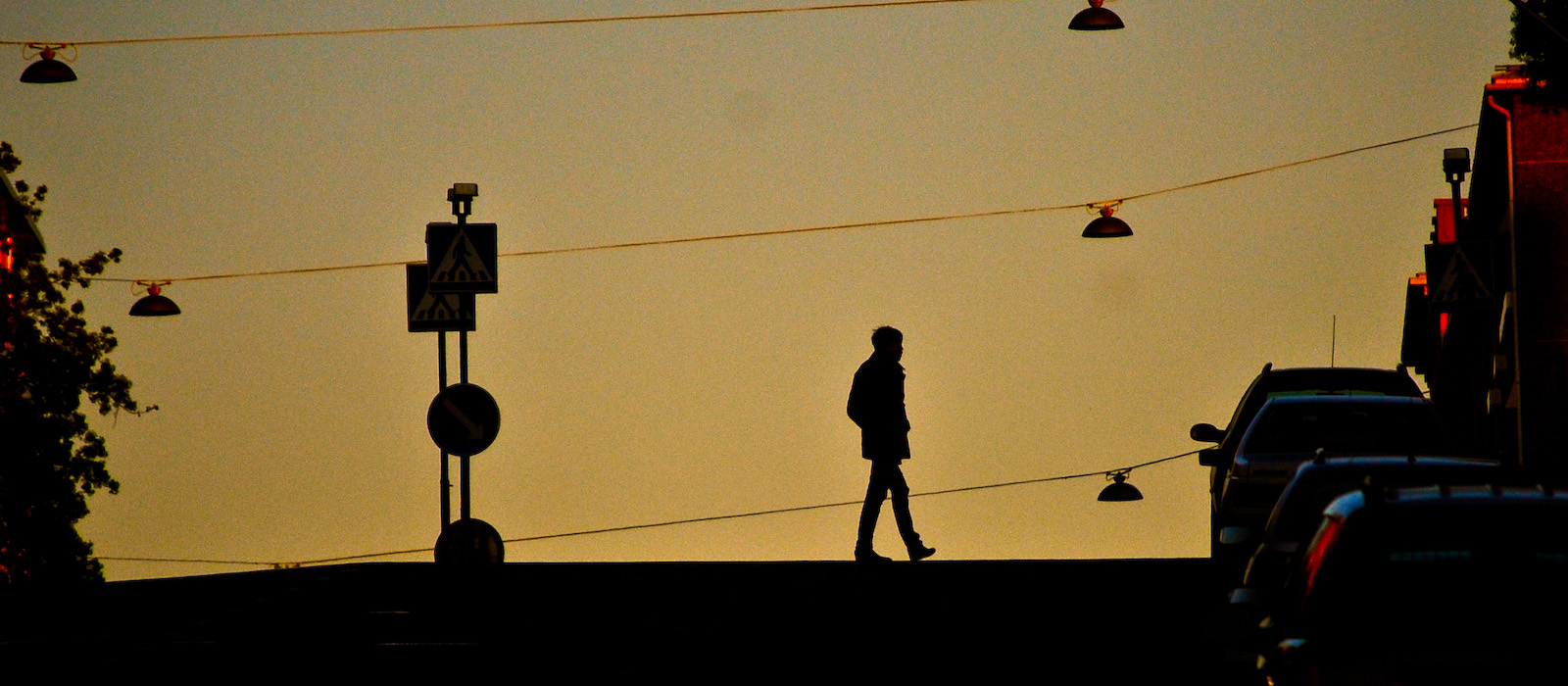 Why the Greatest Minds Take Long Walks
