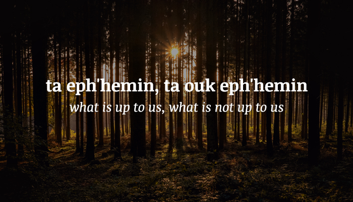 taephhemin-definition